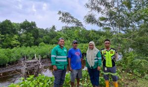 Press Release - Tiga Tahun Program Mangrove NHM di Kao Tunjukkan Hasil Signifikan bagi Pemulihan Ekosistem Pesisir (5)