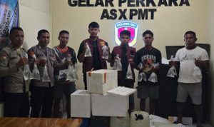 Barang bukti miras yang berhasil diamankan Polsek Ibu, Kab. Halmahera Barat. (Foto: Istimewa)