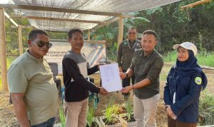 Panen ikan nila binaan PT SDA Antam Grup. (Foto: Istimewa)