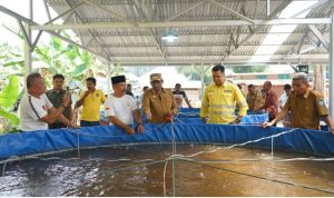 Pemda Halmahera Utara dan NHM Peduli Panen Ikan Nila. (Foto: Departemen Komunikasi NHM)