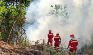 Berita (19)Tim ERT NHM saat sedang berupaya memadamkan api karhutla.(Foto: Departemen Komunikasi NHM)